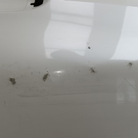 Дверь задняя правая на BMW 6-серия Gran Turismo IV (G32) 2017>