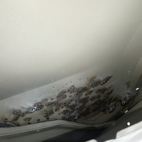 Дверь задняя правая на Geely Atlas 2 2023>