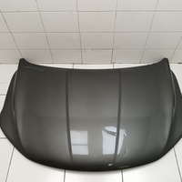 Капот на Belgee X50 2019> / Geely Coolray 2019>