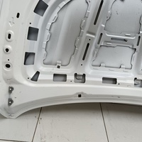 Капот на Geely Coolray 2019>