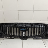 Решетка радиатора на Geely Monjaro 2021>