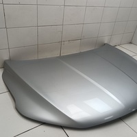 Капот на Belgee X50 2019> / Geely Coolray 2019>