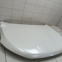 Капот на Haval Jolion 2021>