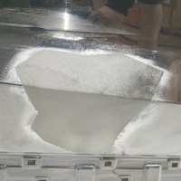 Дверь передняя правая на Hyundai Palisade 2019>