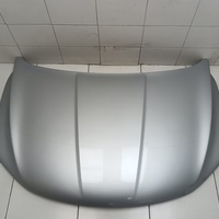 Капот на Belgee X50 2019> / Geely Coolray 2019>