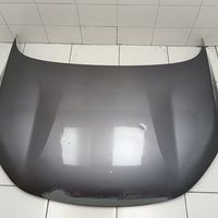 Капот на Omoda C5 2021>