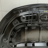 Капот на Exeed TXL M32T 2020>