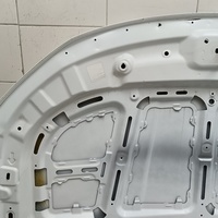 Капот на Belgee X50 2019> / Geely Coolray 2019>