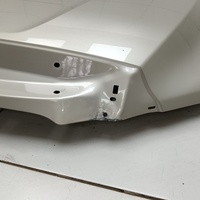 Капот на Tank 500 2022>