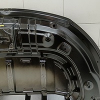 Капот на Exeed TXL M32T 2020>