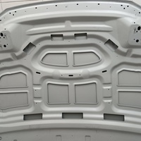 Капот на Audi Q5 8OA 2017>